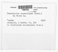 Image Associated With the Occurence